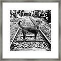 Dog Meets Train Framed Print