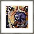 Dogsdon't Smile Do They? Framed Print