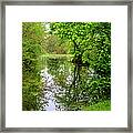 Down At The Creek... Framed Print