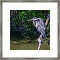 Down By The River Framed Print