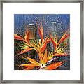 Downtown Los Angeles Framed Print