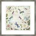 Dragonfly Dreams On A Summer Day Framed Print