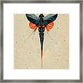 Dragonfly In Blue Framed Print