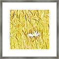 Dreaming Framed Print