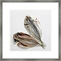 Dried Horse Mackerel Framed Print