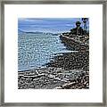 Driftwood Beach Framed Print