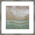 Drone Aerial Of White Dog Running And Playing At Empty Sandy Beach Framed Print