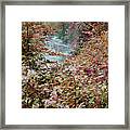 Dry Falls Autumn Framed Print