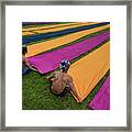 Drying The Cloth Framed Print