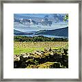 Drystone Fences In Morning Light Near Troutbeck Overlooking Wind Framed Print