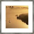 Ducks On The River In The Morning Framed Print