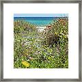 Dunetop Beach Wildflowers Framed Print