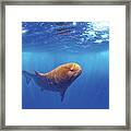 Dunkleosteus - Prehistoric Fish Framed Print