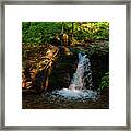 Dunnfield Creek Waterfall Spring Green Framed Print