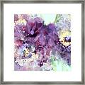 Dusty Purple Camellias In Watercolor Framed Print