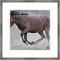 Dusty Sprint. Framed Print