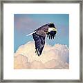 Eagle Flying Above Clouds Framed Print