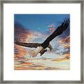 Eagle On Dramatic Sky Framed Print