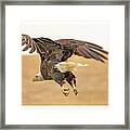 Eagle Taking Off Framed Print