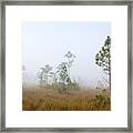 Early Morning Fog Landscape Framed Print
