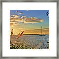 Early Morning In The Cove Framed Print