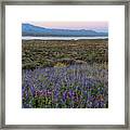 Eartth Shadow At Sunset Over Roosevelt Lake Framed Print