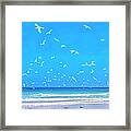 East Coast Florida Daytona Beach White Sand Seagulls Framed Print