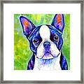 Effervescent - Colorful Boston Terrier Dog Framed Print