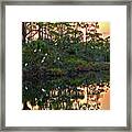 Egret Pond Framed Print