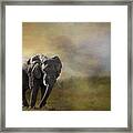 Elephant In The Morning Framed Print