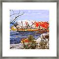 Elephant Rock - Bay Of Fires Framed Print