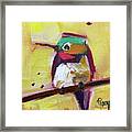 Emerald Crested Hummingbird Framed Print