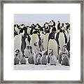 Emperor Penguins With Chick Framed Print