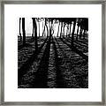 Enchanted Sunset In Monochrome Framed Print