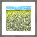 Endless Seagrass Of Savannah Framed Print