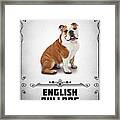 English Bulldog Framed Print