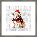 English Bulldog Christmas Dog Framed Print