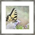 Enjoying Our Garden Friends Framed Print