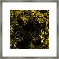 Equinox Framed Print