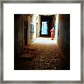 Essaouira Medina Framed Print