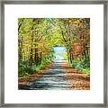 Ethereal Autumn Road Framed Print