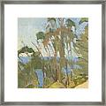 Eucalyptus Above The Pacific - La Jolla, San Diego, California Framed Print