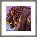 Evening Lion Framed Print