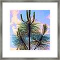 Evening Sky With Tree Framed Print