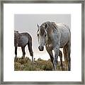 Evening With Friends Framed Print