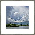 Everglades 0257 Framed Print