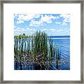 Everglades Blind Framed Print