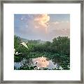 Everglades Morning Framed Print