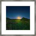 Everglades Visions Framed Print