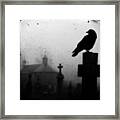 Crow In Gothic Fog Framed Print